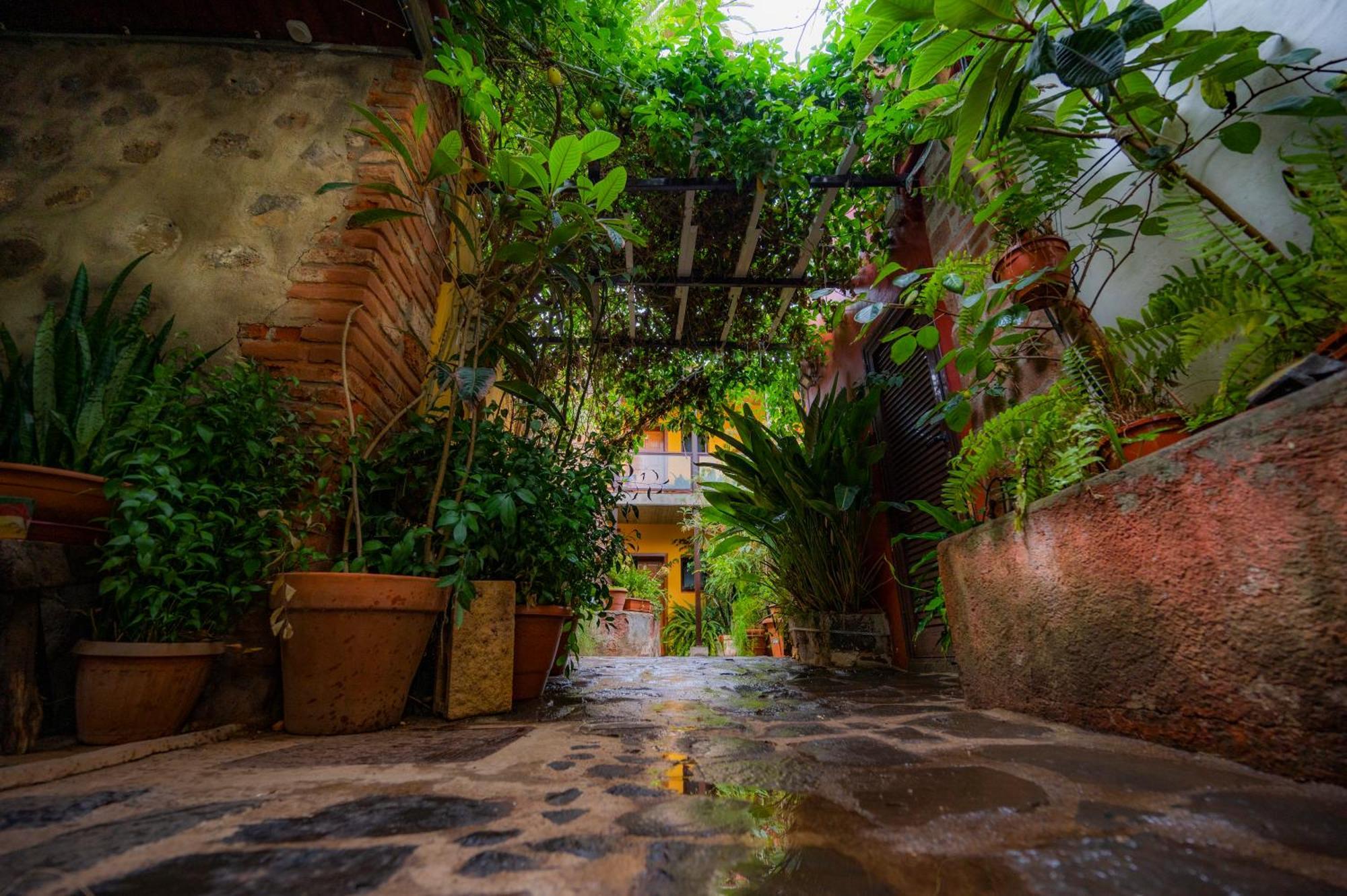 La Asomada Del Gato Country house *