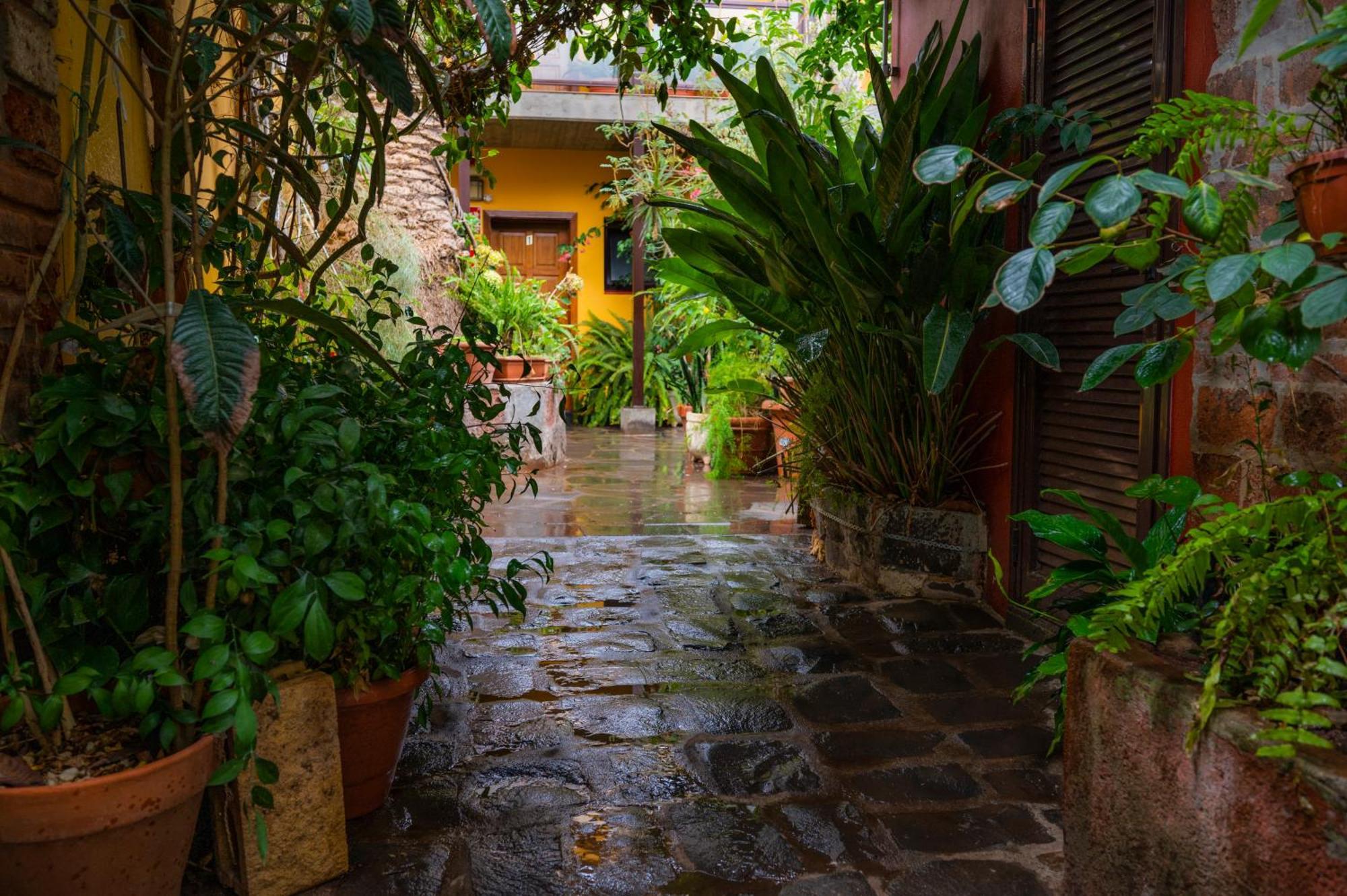 La Asomada Del Gato Country house *