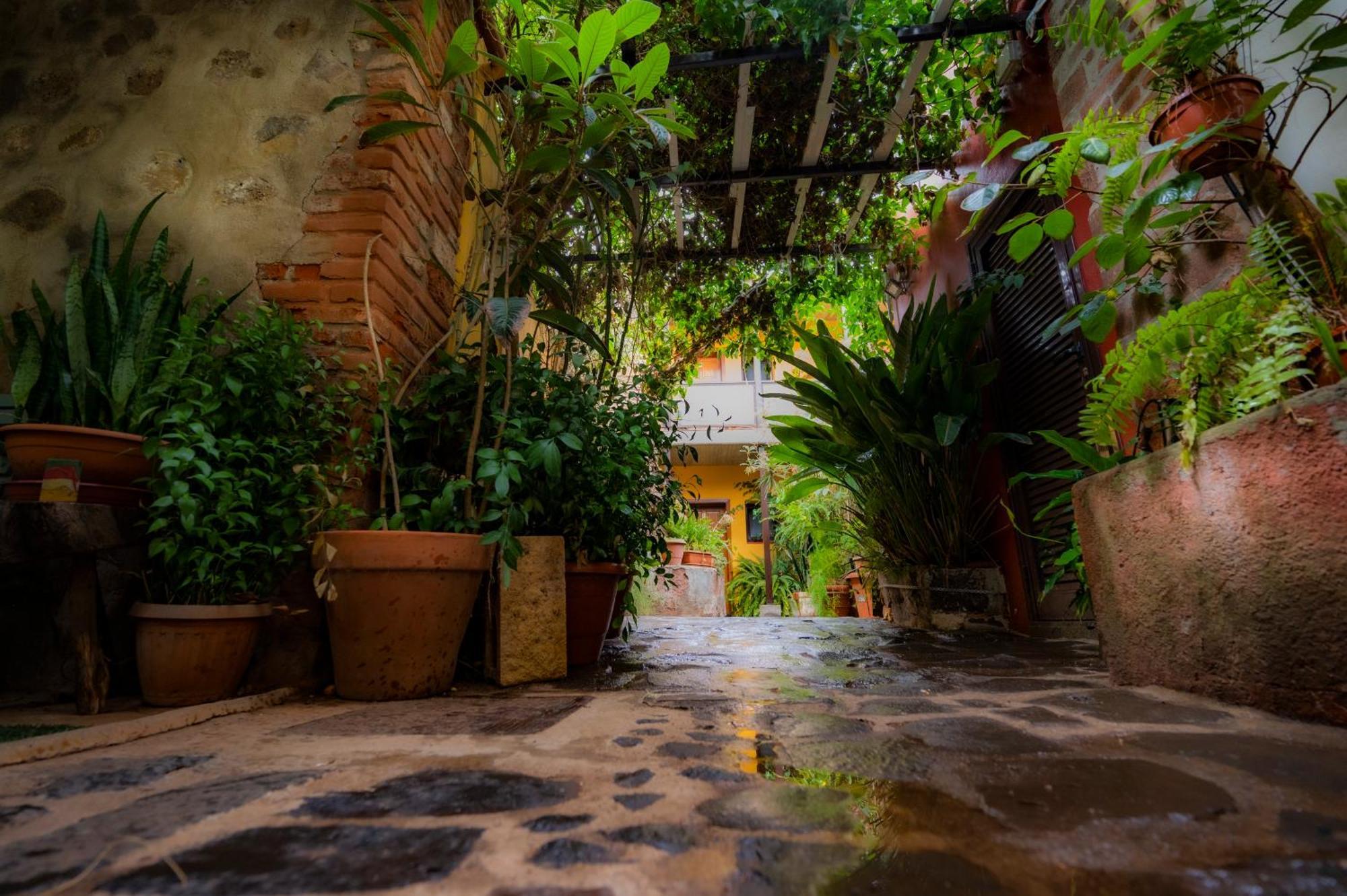 La Asomada Del Gato Country house *