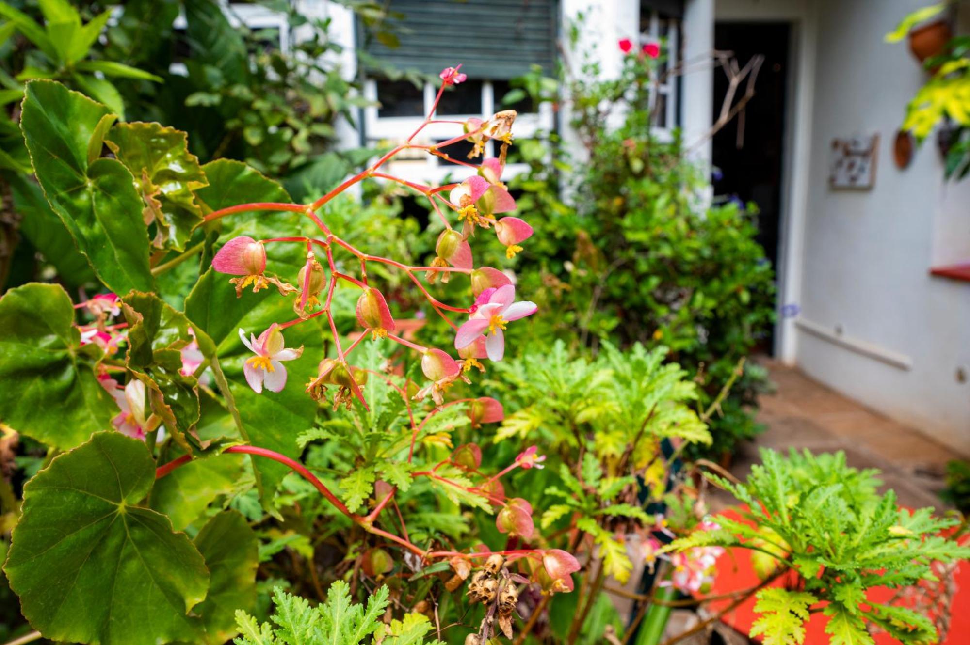 La Asomada Del Gato Country house
